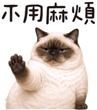 843941257