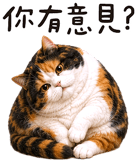 843941262