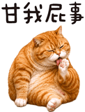 843941264