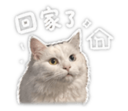 843946243