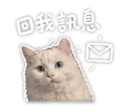 843946253