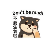 843946654