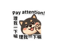 843946655