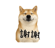 843946956