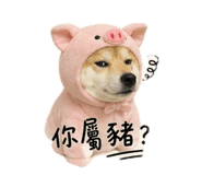 843946958