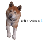 843947665
