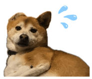 843947669