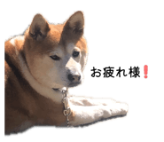 843947672