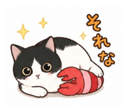 843948675