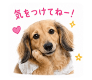 843948930