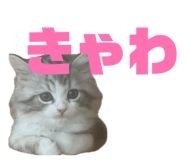 843948984