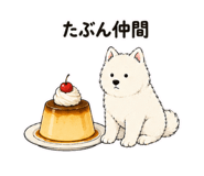 843949701