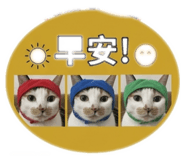 843949784