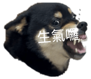 843950059