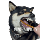 843950061