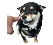 843950062