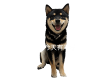 843950065