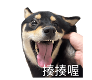 843950067