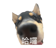 843950068