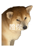 843950070