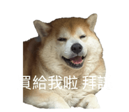 843950071
