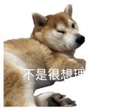 843950072