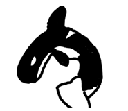 843950281