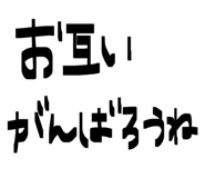 843950520
