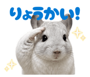 843950967