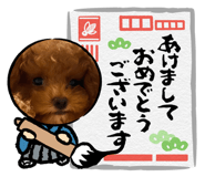 843951155