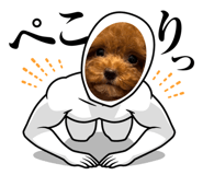 843951162