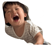 843951216
