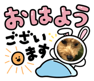 843951263