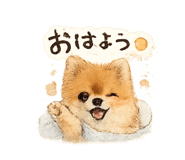 843951313