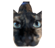 843951379