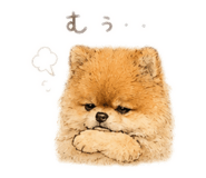 843952062