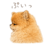 843952075