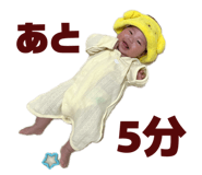 843952403