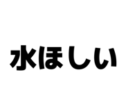 843952612