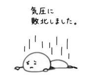 843952732