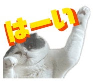 843952778