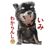 843952846