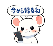 843953114