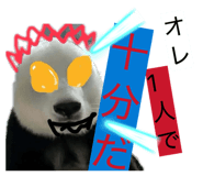 843953194