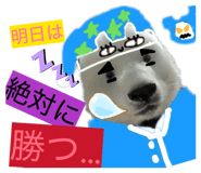 843953198