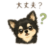 843953217