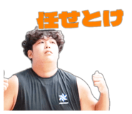 843953294