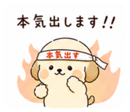 843953854