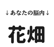 843954549
