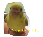 843954651